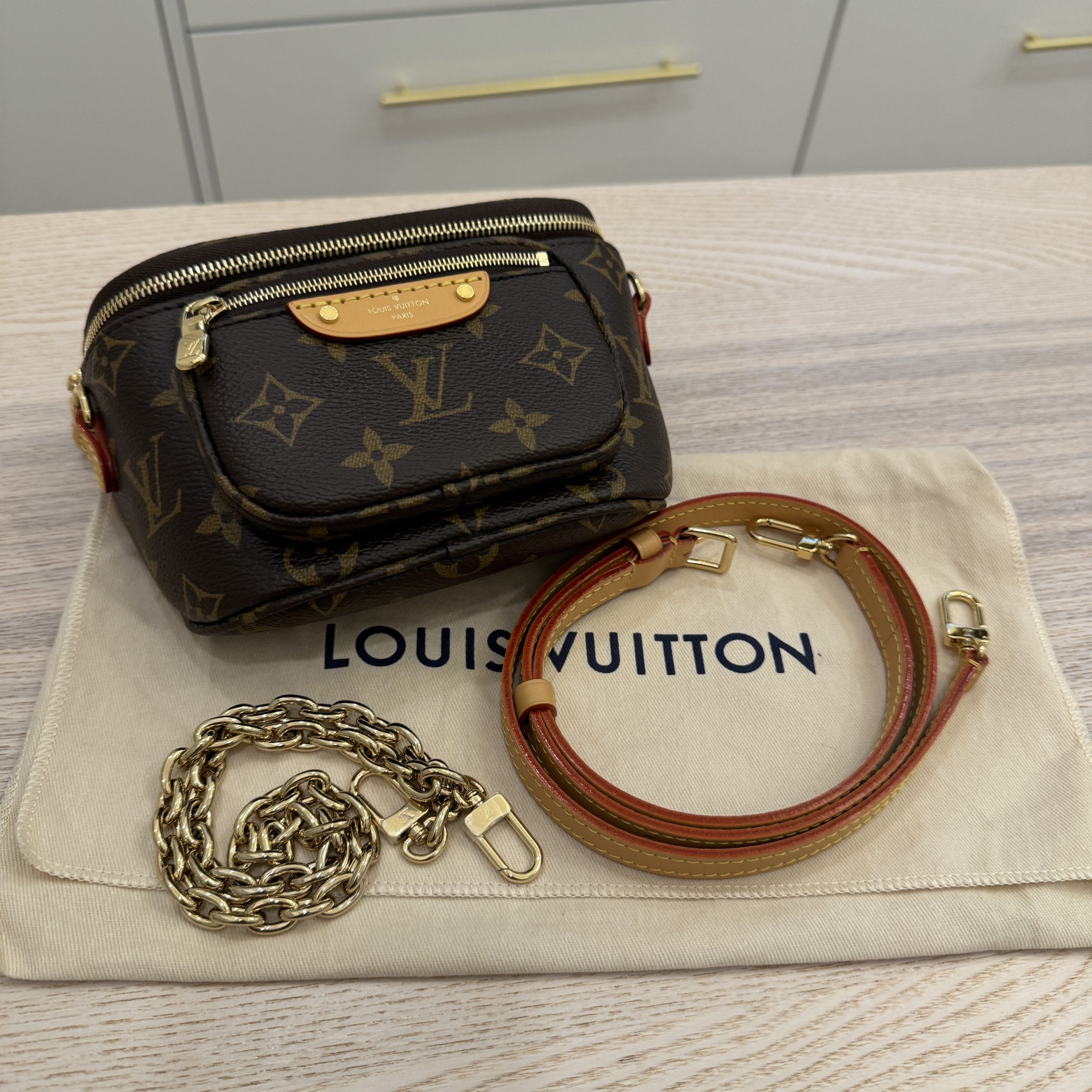 Louis Vuitton Mini Bumbag BRAND NEW