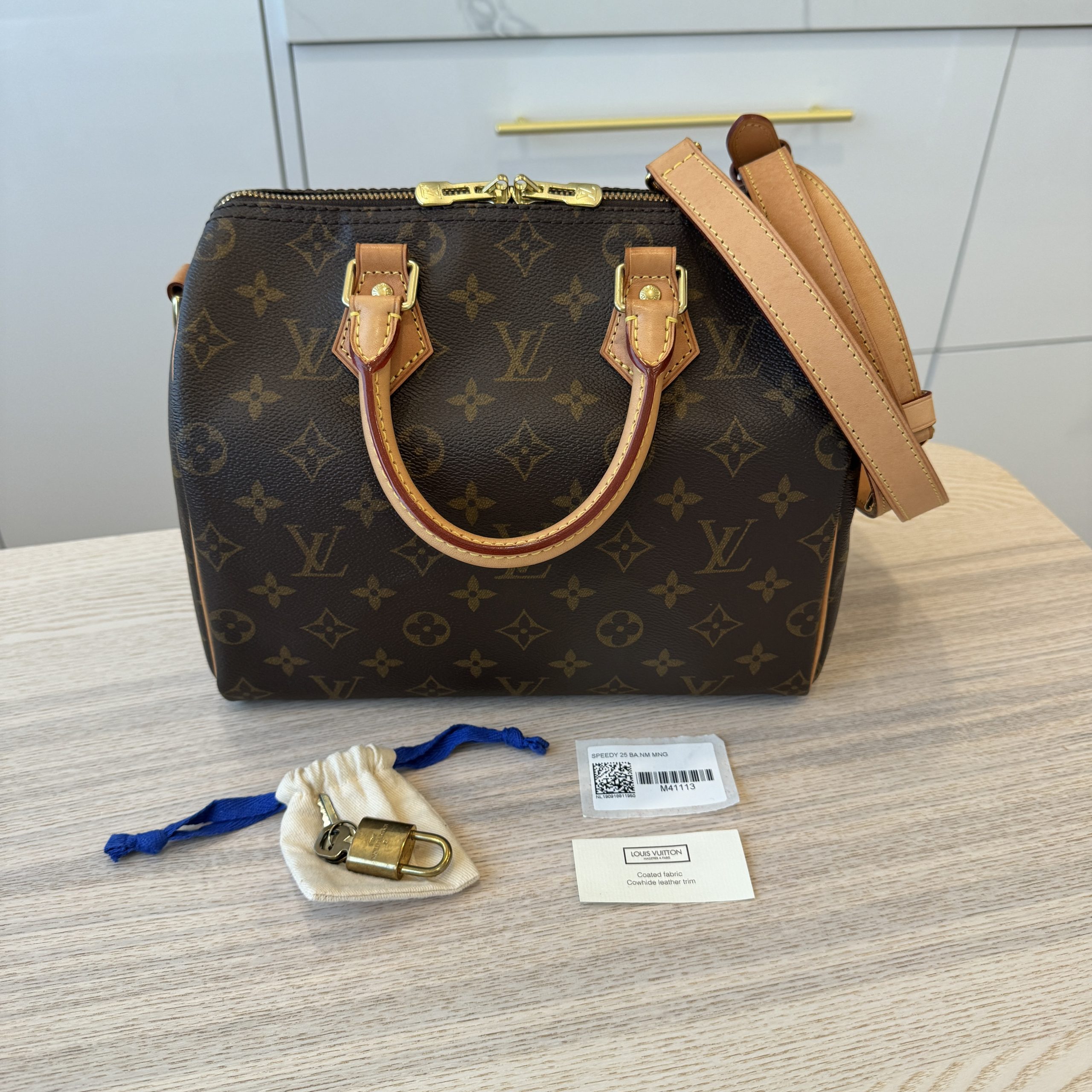 LV SPEEDY BANDOULIERE 25 M41113 in 2023