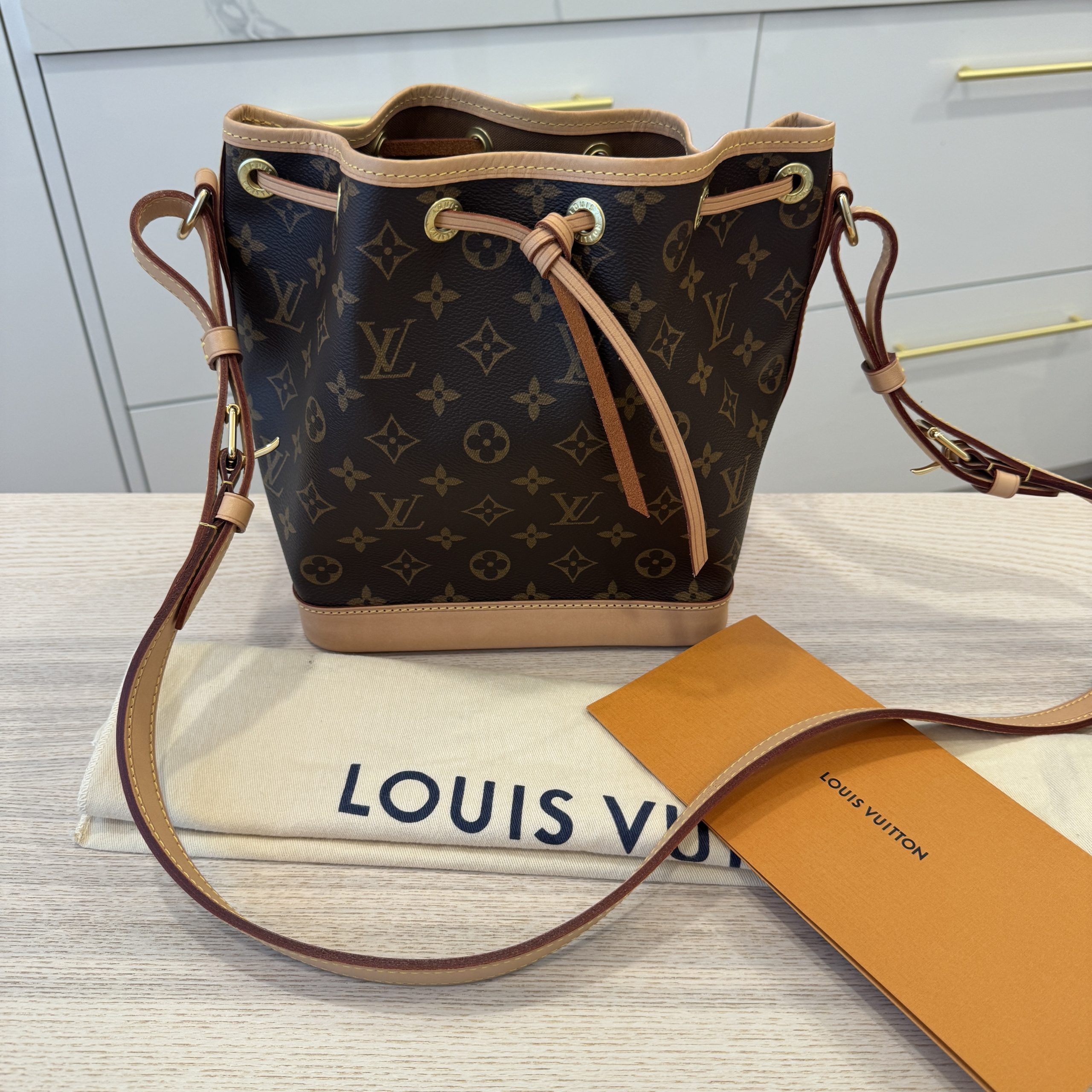The Never-ending Versatility of Louis Vuitton Neverfull Monogram Bag! 