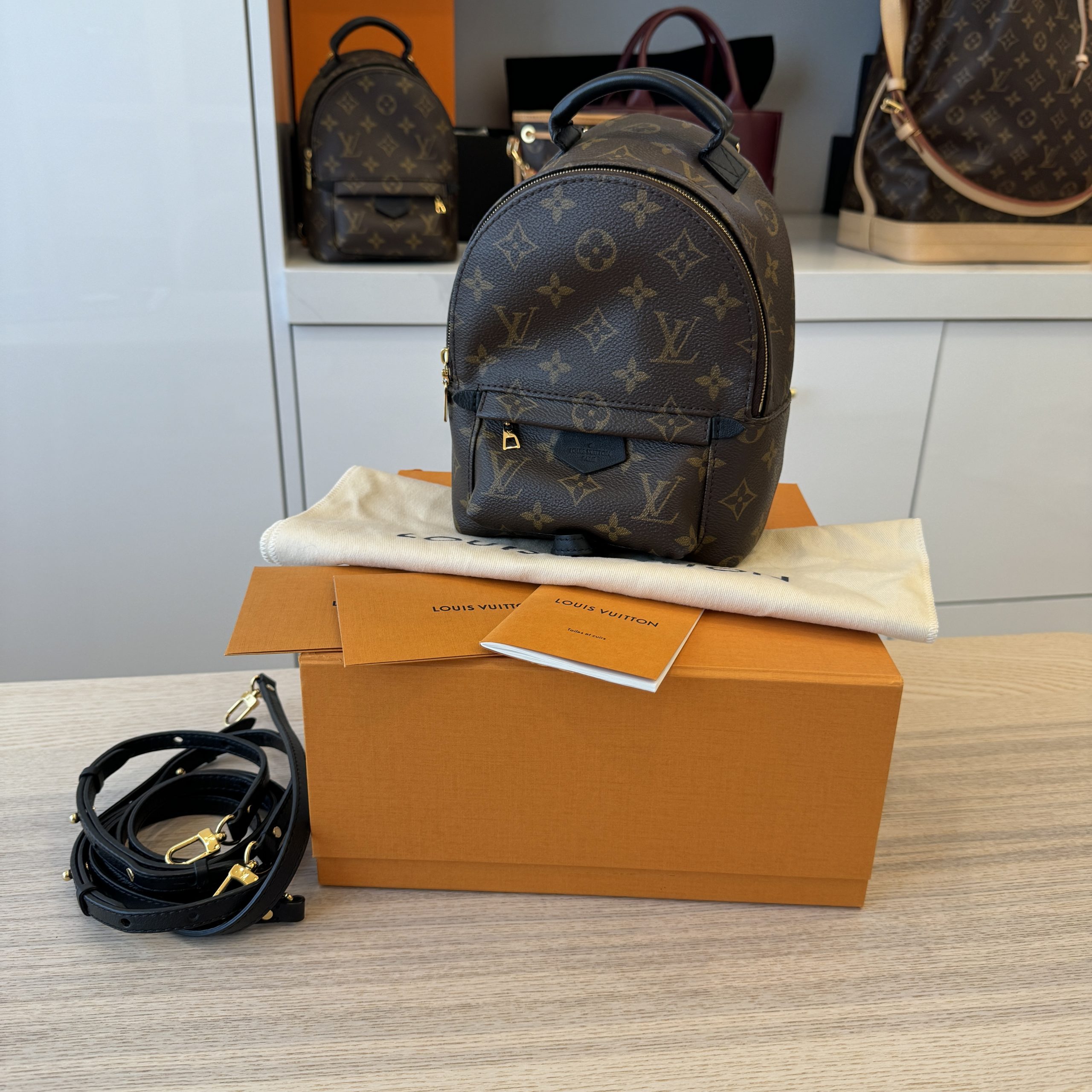 Bag Organizer for LV Palm Springs Mini Backpack  