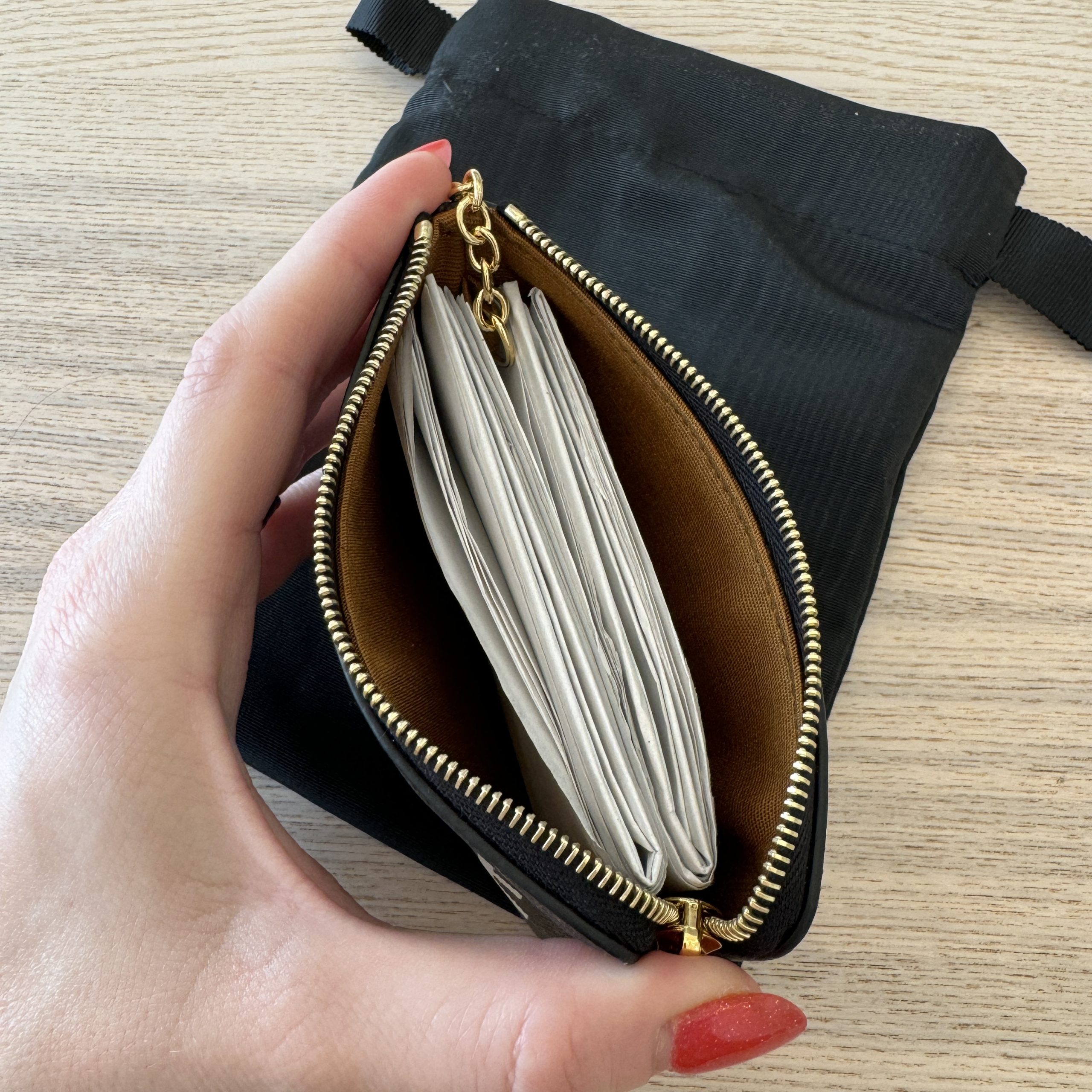 Celine Coin and Card Pouch in Triomphe Canvas