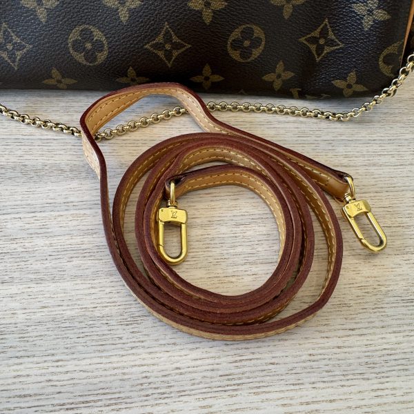 Louis Vuitton Monogram Eva