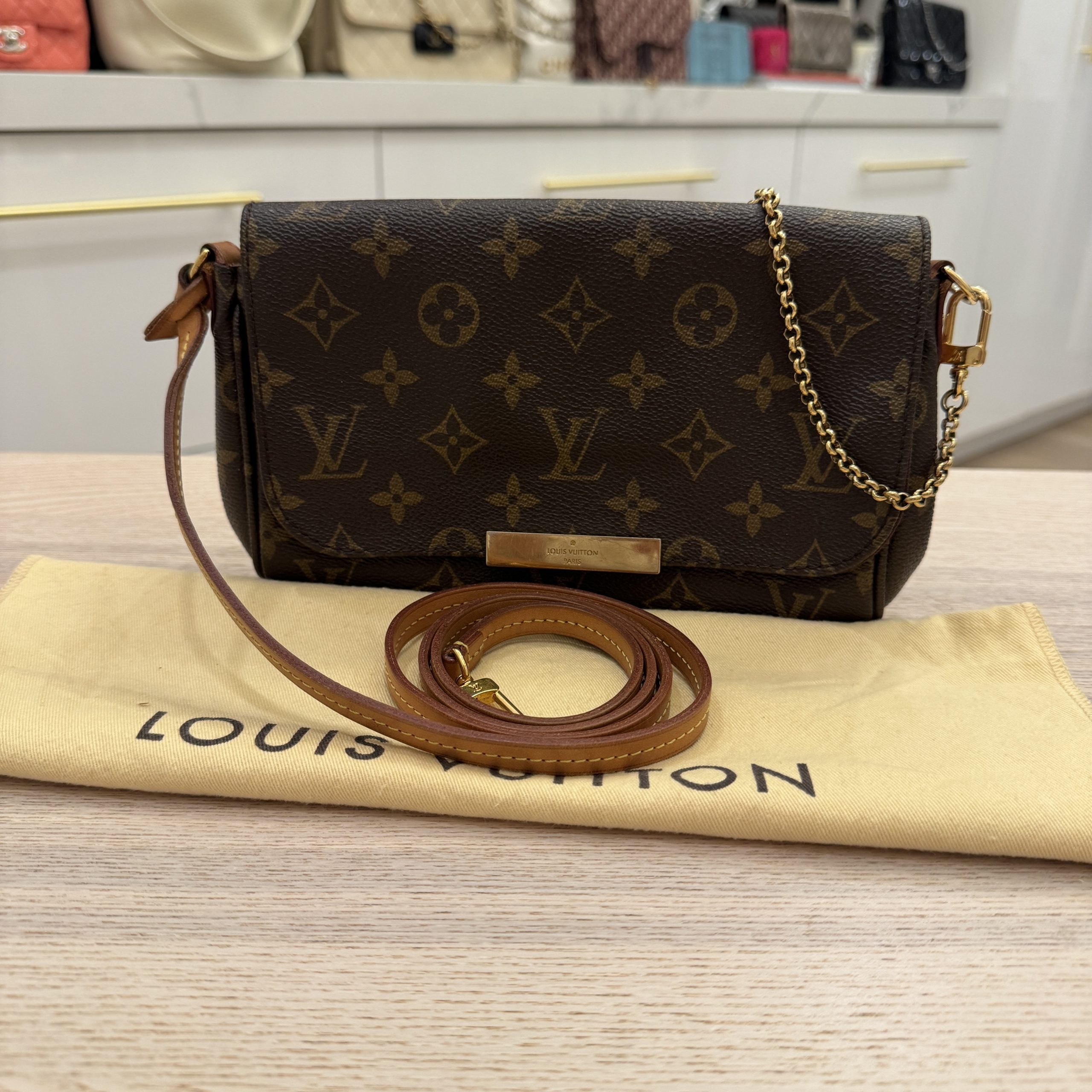 Louis Vuitton Monogram Favorite PM