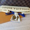 Louis Vuitton Damier Ebene Speedy 30 NM
