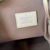 Louis Vuitton Monogram Bosphore Backpack