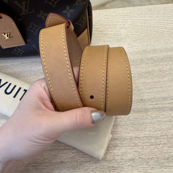 Louis Vuitton Monogram Odeon PM Vachetta
