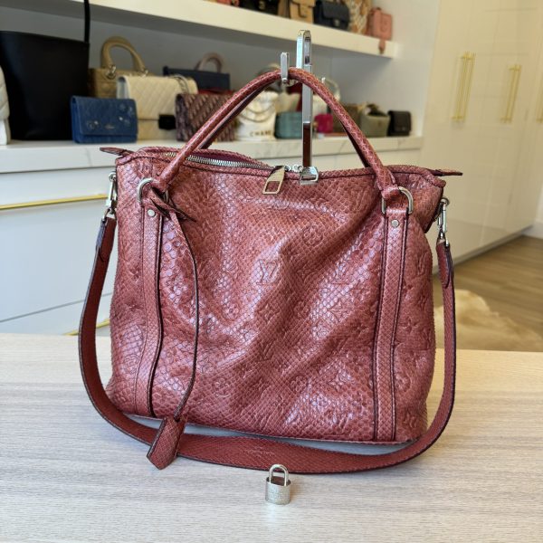 Louis Vuitton Antheia Ixia Handbag Python PM