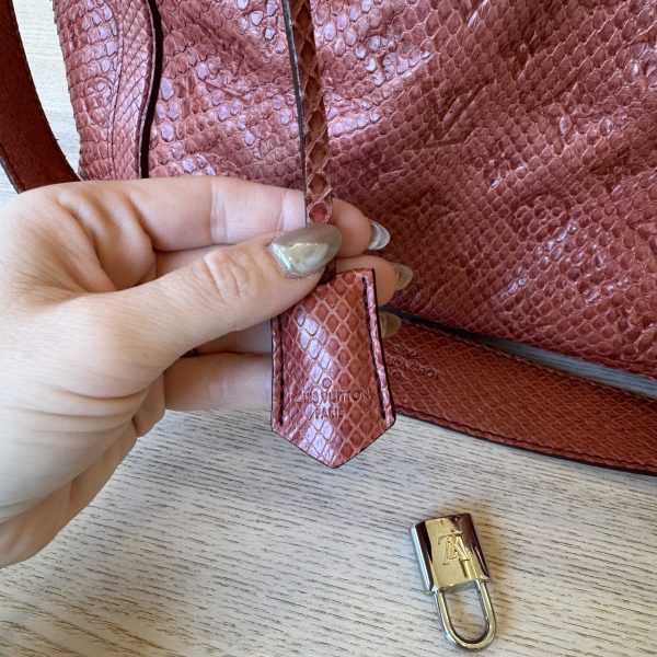 Louis Vuitton Antheia Ixia Handbag Python PM