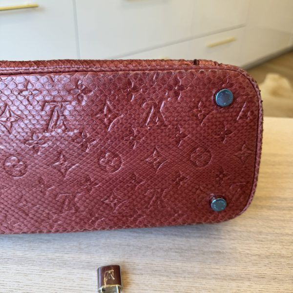 Louis Vuitton Antheia Ixia Handbag Python PM