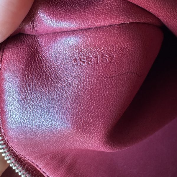 Louis Vuitton Antheia Ixia Handbag Python PM