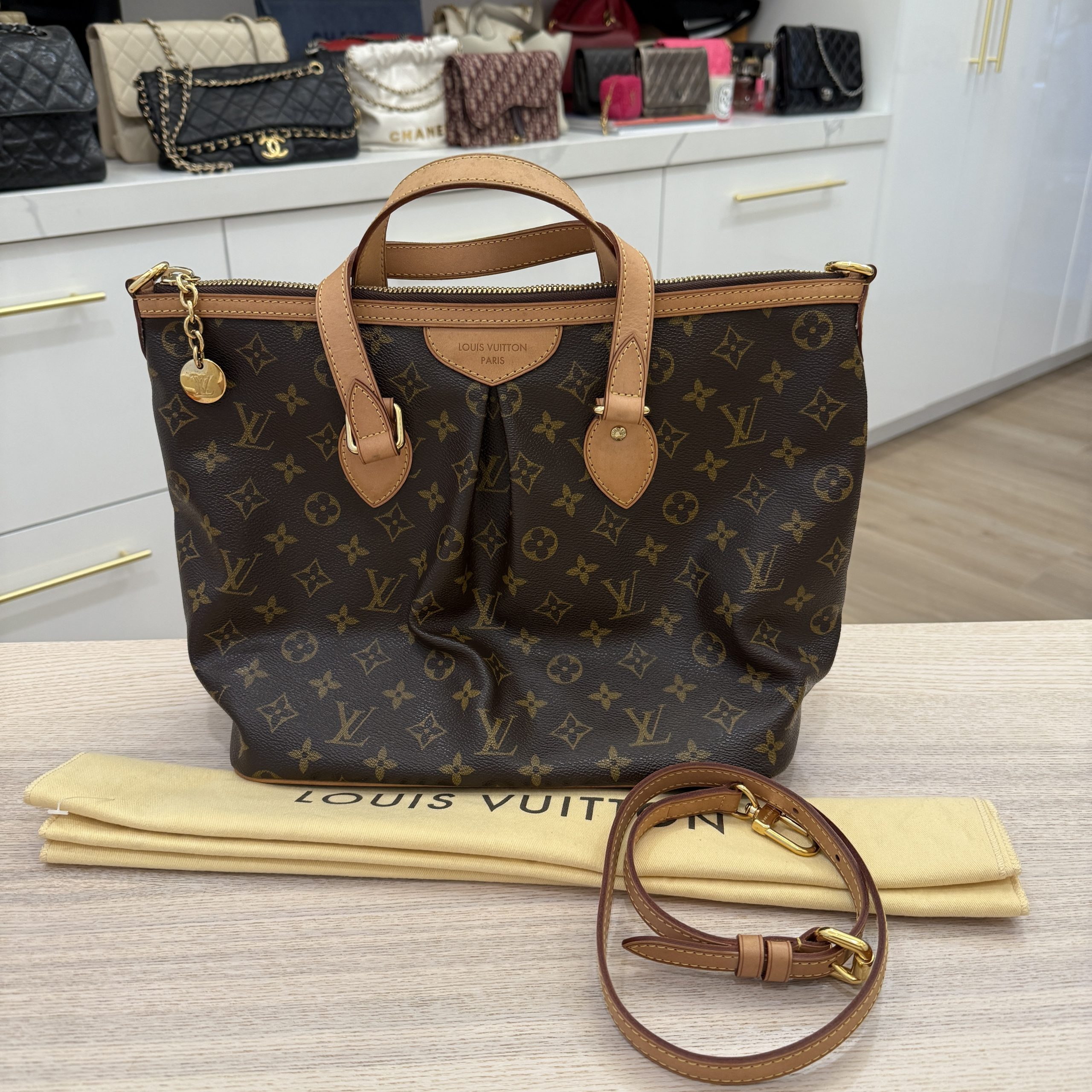Louis Vuitton Monogram Palermo PM