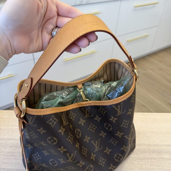 Louis Vuitton Monogram Delightful PM NM