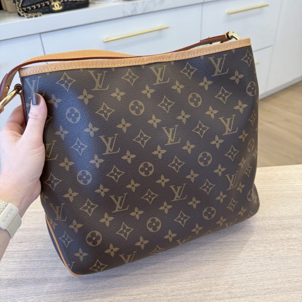 Louis Vuitton Monogram Delightful PM NM