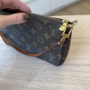 Louis Vuitton Monogram Pochette Accessories