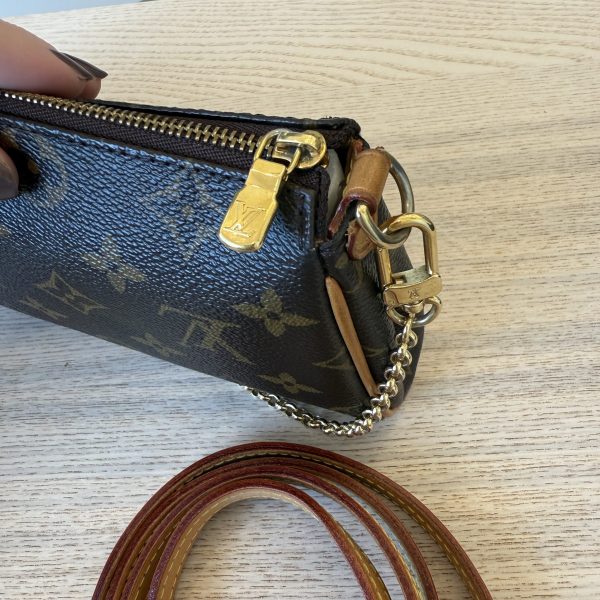 Louis Vuitton Monogram Eva