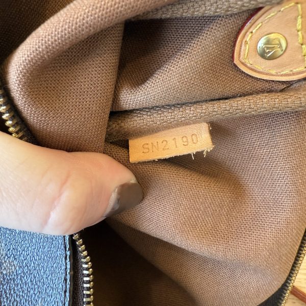 Louis Vuitton Monogram Eva