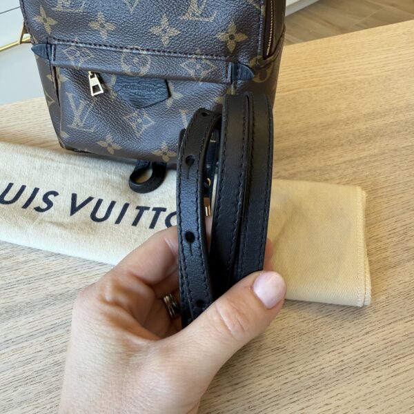 Louis Vuitton Monogram Palm Springs Mini NV