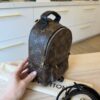 Louis Vuitton Monogram Palm Springs Mini NV