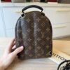 Louis Vuitton Monogram Palm Springs Mini NV