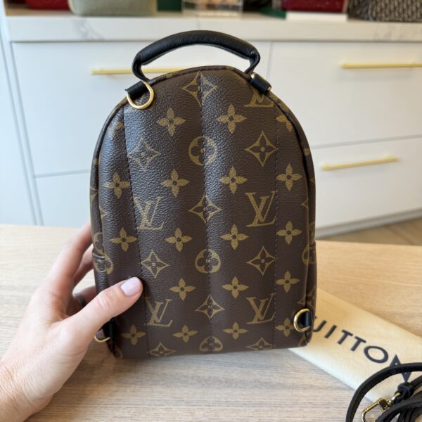 Louis Vuitton Monogram Palm Springs Mini NV