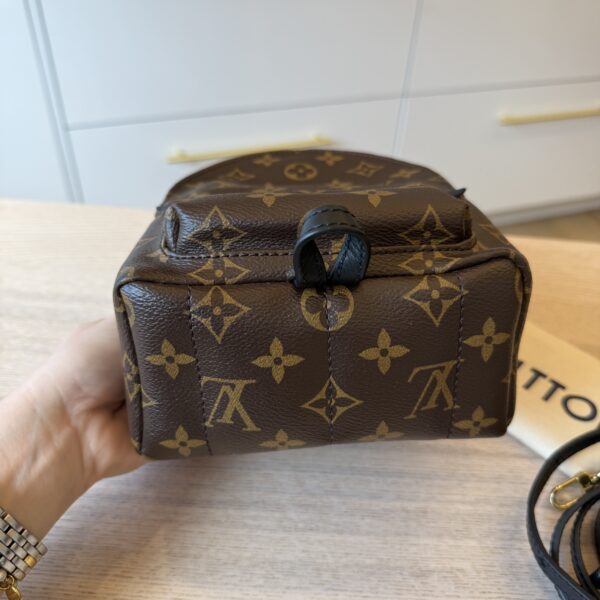 Louis Vuitton Monogram Palm Springs Mini NV