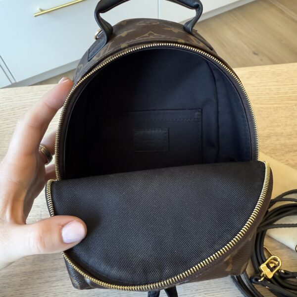 Louis Vuitton Monogram Palm Springs Mini NV