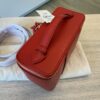 Altuzarra Vanity Leather Bag Parrot (Red) Gold Hardware