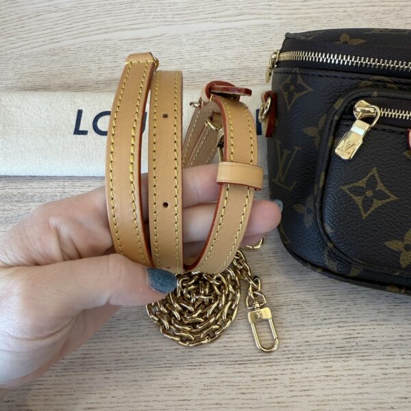 Louis Vuitton Monogram Mini Bumbag