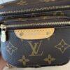 Louis Vuitton Monogram Mini Bumbag