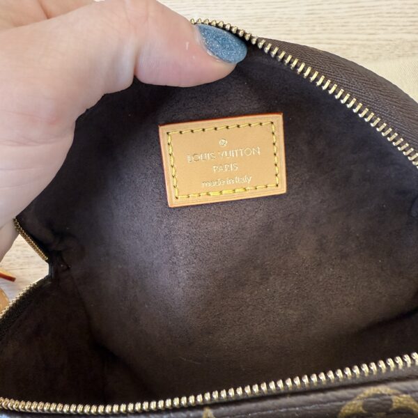 Louis Vuitton Monogram Mini Bumbag