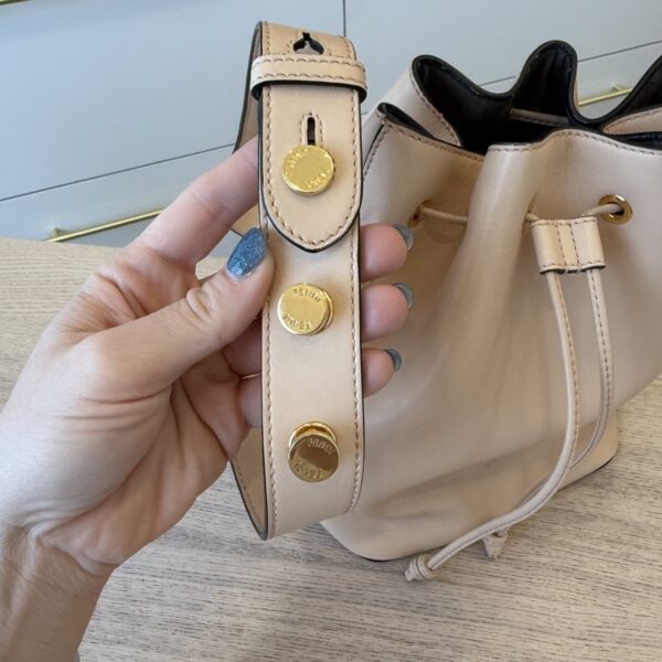 Fendi Vitello Grace Matte F is Fendi Grande Mon Tresor Bucket Bag Camelia
