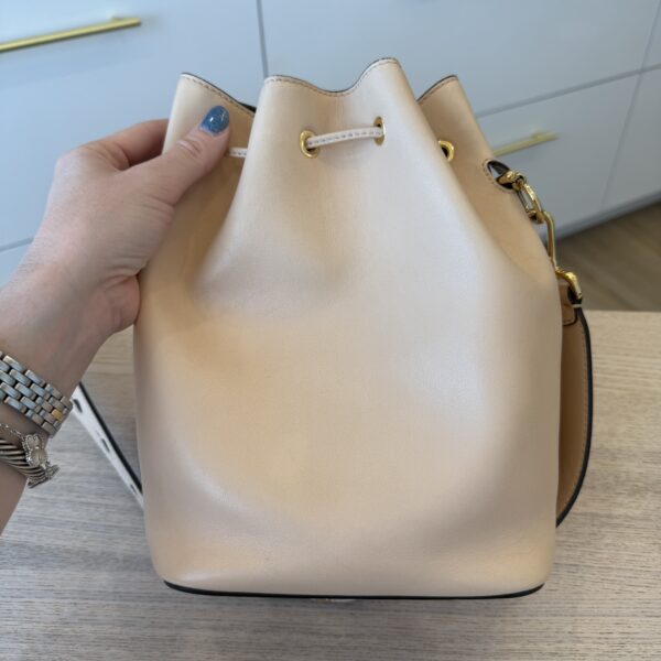 Fendi Vitello Grace Matte F is Fendi Grande Mon Tresor Bucket Bag Camelia