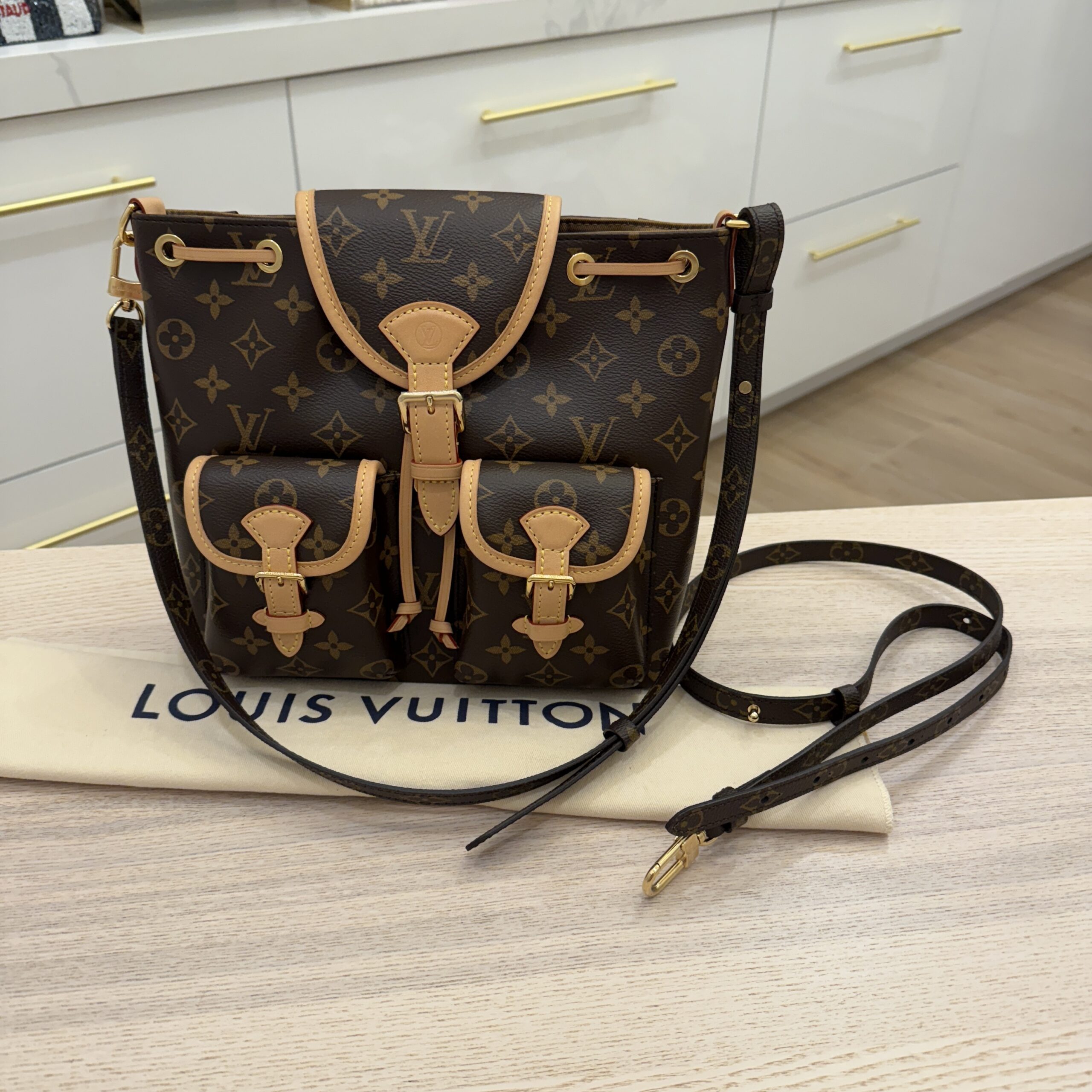 Louis Vuitton Monogram Excursion PM Backpack