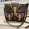 Louis Vuitton Monogram Excursion PM Backpack