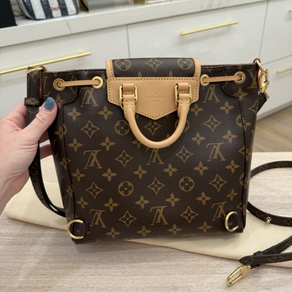 Louis Vuitton Monogram Excursion PM Backpack