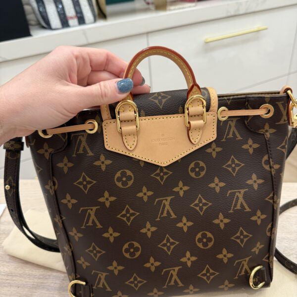 Louis Vuitton Monogram Excursion PM Backpack