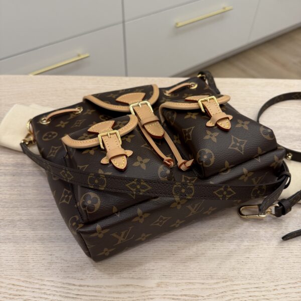 Louis Vuitton Monogram Excursion PM Backpack
