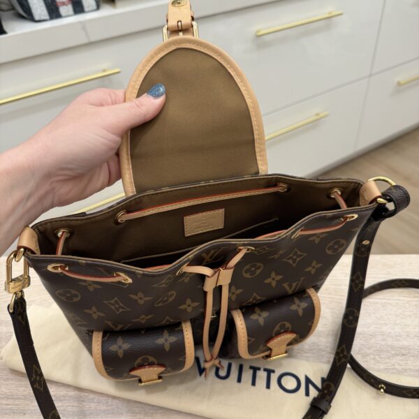 Louis Vuitton Monogram Excursion PM Backpack