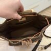 Louis Vuitton Monogram Excursion PM Backpack
