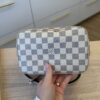 Louis Vuitton Damier Azur Braided Neonoe BB Pink