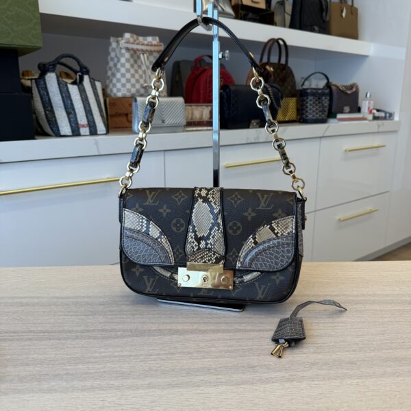 Louis Vuitton Monogram Snakeskin Alligator Monogramissime Pochette Gris