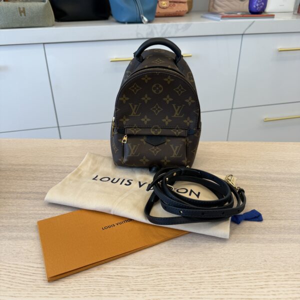 Louis Vuitton Monogram Palm Springs Mini NV