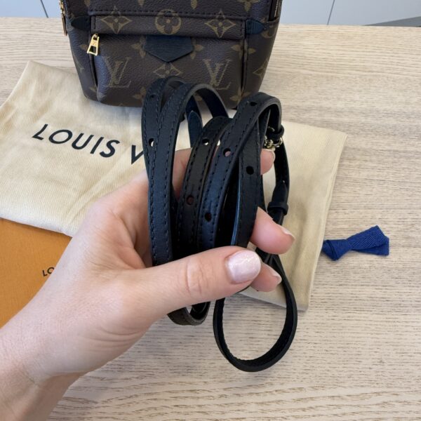 Louis Vuitton Monogram Palm Springs Mini NV