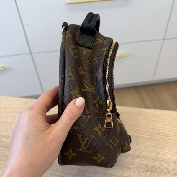 Louis Vuitton Monogram Palm Springs Mini NV