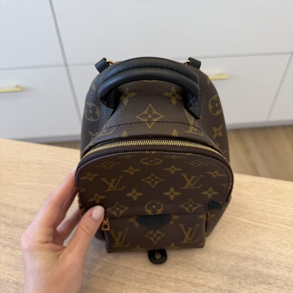 Louis Vuitton Monogram Palm Springs Mini NV