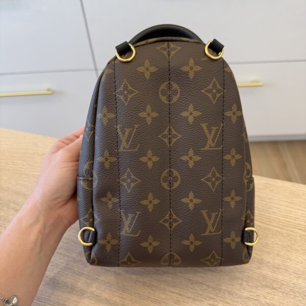 Louis Vuitton Monogram Palm Springs Mini NV