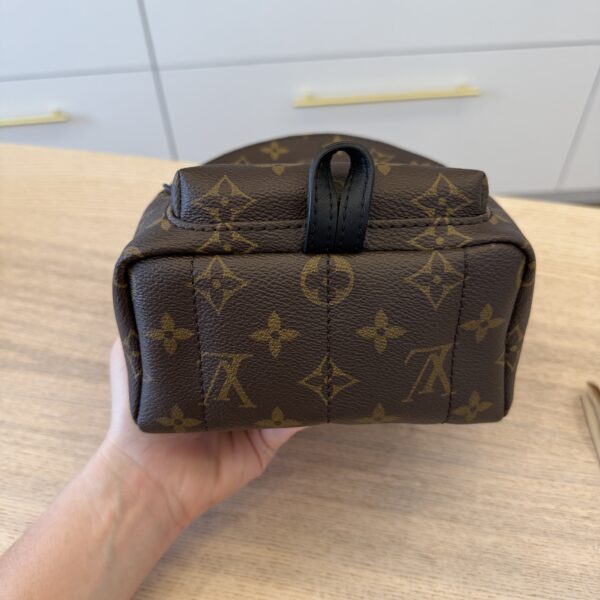 Louis Vuitton Monogram Palm Springs Mini NV