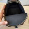 Louis Vuitton Monogram Palm Springs Mini NV