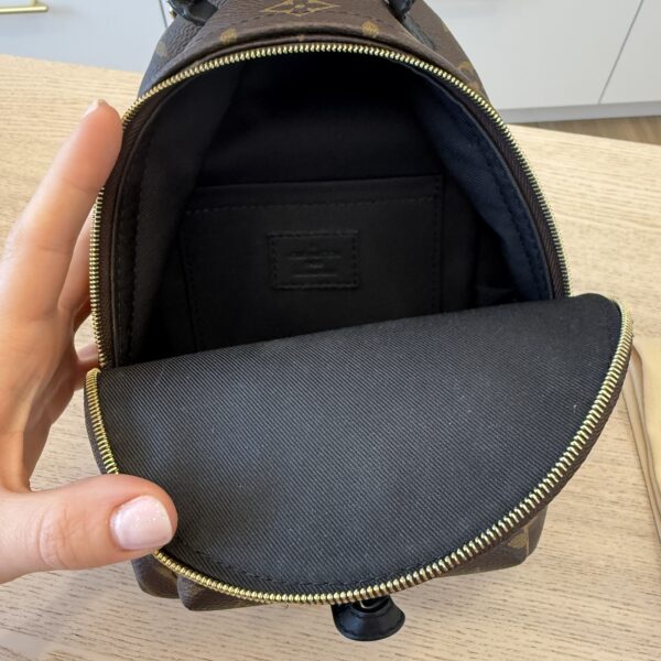 Louis Vuitton Monogram Palm Springs Mini NV