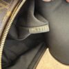 Louis Vuitton Monogram Palm Springs Mini NV